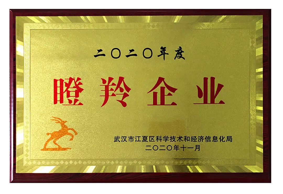 瞪羚企業(yè).jpg 瞪羚企業(yè).jpg